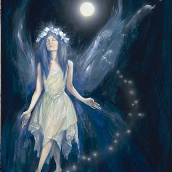 Meet your Posher, Aminta - Picture 3 of 7